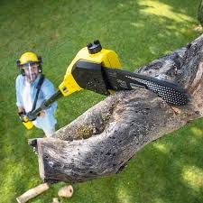 Best Soil Testing and Treatment  in Scotia, NY